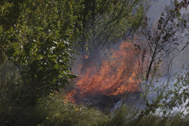 Incendiu uriaș de vegetație în Maramureș. Flăcările au ajuns în zona locuințelor. Circa 90 de oameni, evacuați. Un avion al MApN a plecat în zonă