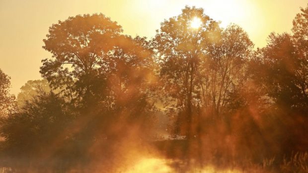 Prognoza meteo pentru următoarele două săptămâni. Se întoarce vara în mijlocul toamnei