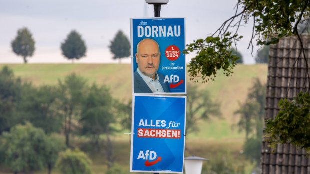 În Germania, extrema dreaptă se pregătește de atac. În Franța, fără guvern. De ce votează diaspora cum votează?