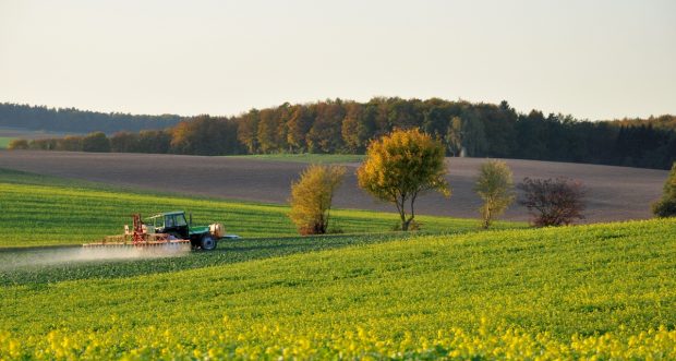 Ministerul Agriculturii primește aproape 900 de milioane de lei din partea Guvernului. „Măsuri de sprijin pentru producătorii agricoli afectaţi de secetă şi de efectele războiului din Ucraina”
