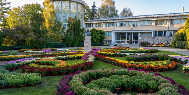Cea mai așteptată expoziție de flori de toamnă s-a deschis în Grădina Botanică din Iași. Zeci de vizitatori au venit să admire explozia de culori