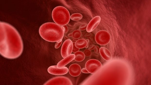Anemia feriprivă, un inamic tăcut: Dr. David Marica, gastroenterolog, avertizează asupra importanței diagnosticului precoce