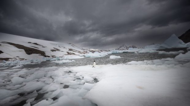 Efecte extreme ale schimbărilor climatice: cel mai rece loc de pe Pământ ar putea deveni „verde”