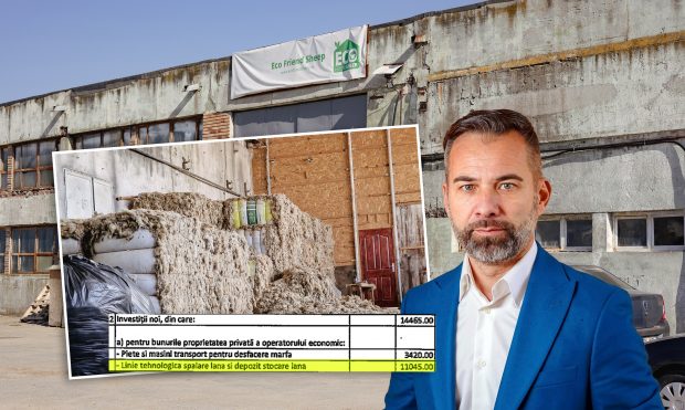 Guvernul a dat 37 de milioane de euro pentru lână în șase ani. Două treimi din acești bani au ajuns la un afacerist lansat în imobiliare alături de tatăl fostului șef al Poliției