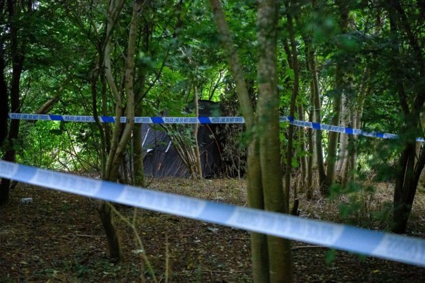 Un bărbat de 46 de ani din Abrud, dat dispărut, a fost găsit mort într-o pădure