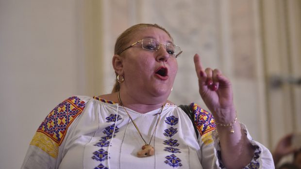 Diana Șoșoacă vrea să revină în cursa pentru Parlament și își depune candidatura pentru Senat 