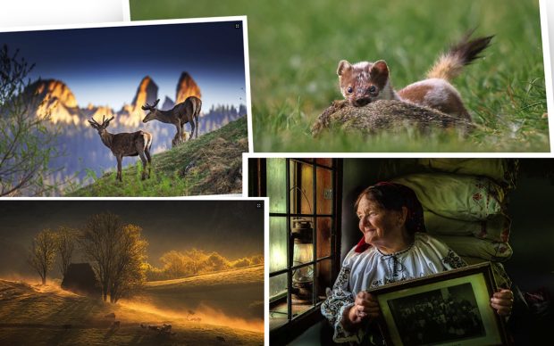 Lecții și emoții din culisele „Fotogeografica”. „Fiecare secundă este unică în fotografie”