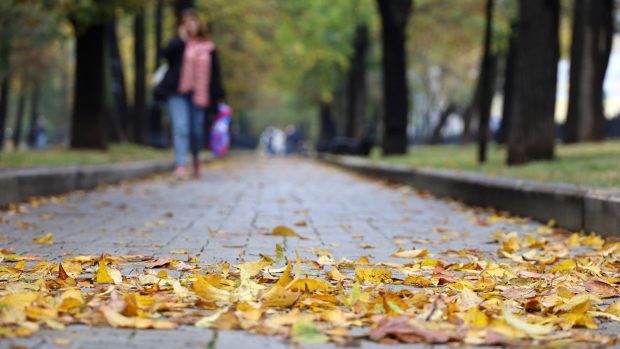 Prognoza meteo pe patru săptămâni. Cum va fi vremea până la jumătatea lunii noiembrie