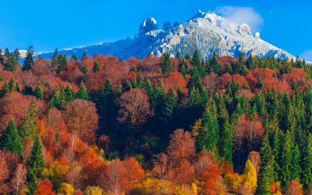 Călătorii în România – top 4 destinații de toamnă