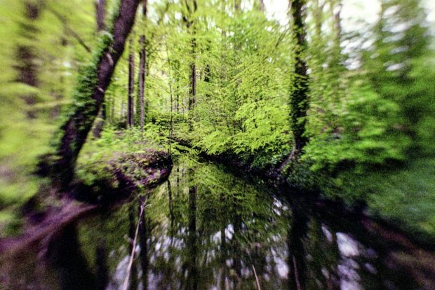 Obiect vechi de 3000 de ani găsit într-o pădure din județul Mureș. „Spada a fost făcută la comandă”