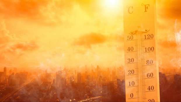 Anul 2024 va fi cel mai fierbinte din istorie. „Civilizația nu a trebuit niciodată să facă față unui climat atât de cald”