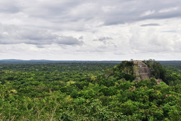 Un student la doctorat a descoperit accidental un oraș pierdut în jungla din Mexic