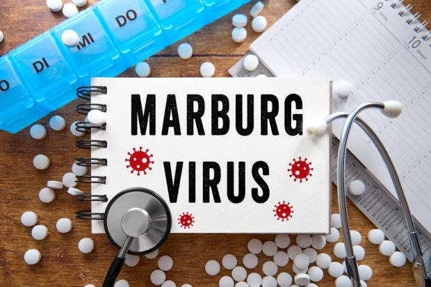 Cât de periculos e pentru alte continente focarul de infecție mortală cauzată de virusul Marburg, o rudă apropiată a Ebola, din Africa