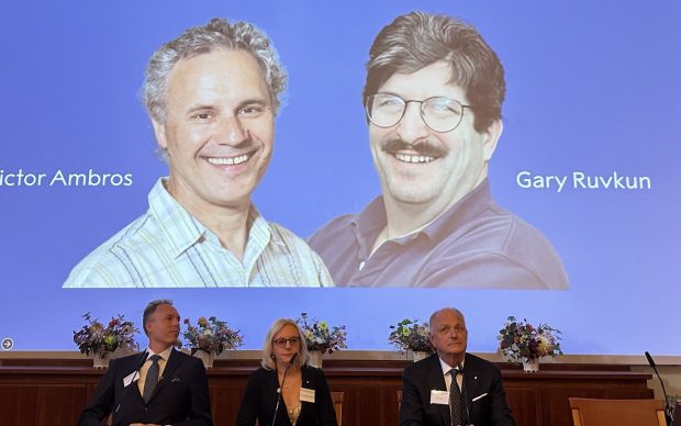 Premiul Nobel pentru Medicină 2024, acordat cercetătorilor Victor Ambros şi Gary Ruvkun, pentru descoperirea  revoluționară a „microARN”