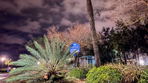 Uraganul Milton a ucis cel puţin 15 persoane și peste 2,6 milioane de oameni din Florida au rămas fără curent electric