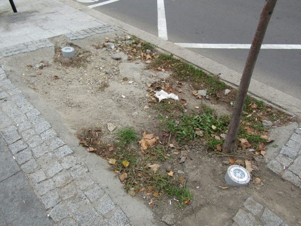 Piața Traian din Brăila va avea un sistem de irigații computerizat, după o investiție de peste 500.000 de lei