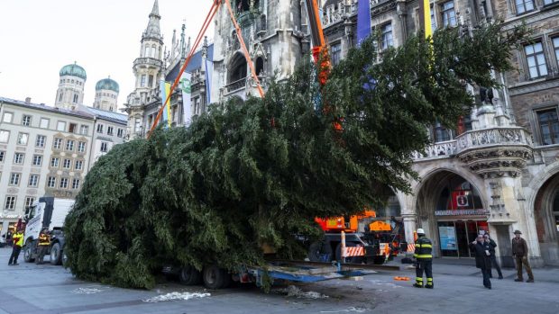 Municipiul Brașov intră în febra Crăciunului. Când ajunge bradul în Piața Sfatului