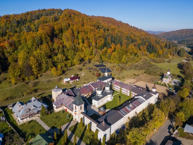 Candidați județul Neamț alegeri parlamentare 2024. Cine candidează în Neamț la Camera Deputaților și Senat