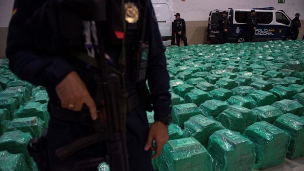 Captură record în Spania. 13 tone de cocaină, găsite într-un container cu banane