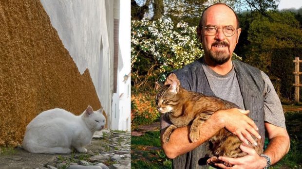 Ian Anderson, liderul Jethro Tull, se implică în salvarea pisicilor fără stăpân din Oradea: „Cele mai bune pisici” | VIDEO