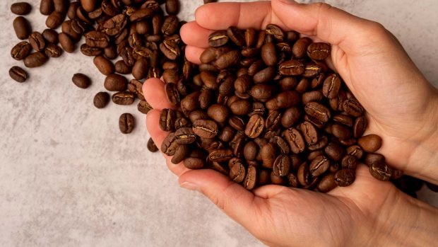 Cum să alegi boabele de cafea: Ghid pentru începători