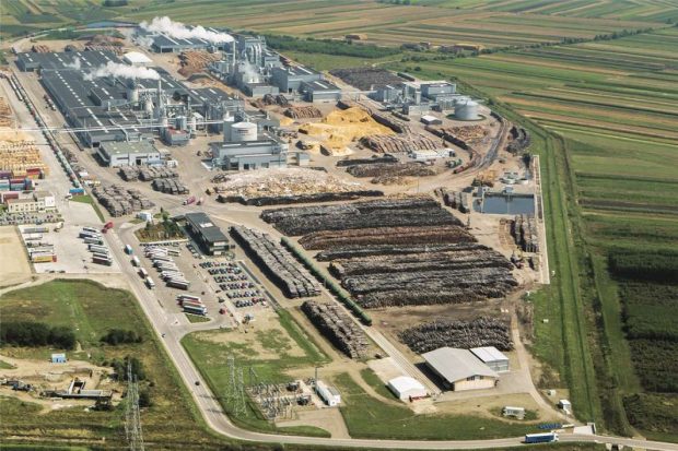 Deșeurile din lemn, valorificate la maximum de EGGER în fabrica modernă de la Rădăuți prin „utilizarea în cascadă”