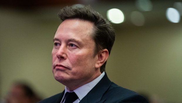 Berlinul îl acuză pe Elon Musk că încearcă să influențeze alegerile din Germania: „Libertatea de exprimare acoperă cele mai mari prostii”