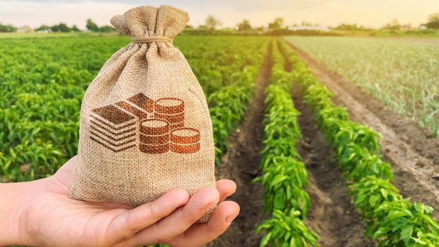 România, pe locul 7 în UE la valoarea producției agricole, în 2023