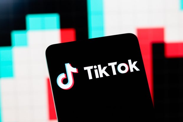 TikTok, interzisă timp de un an în Albania ca urmare a uciderii unui adolescent
