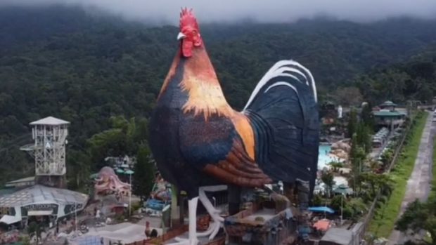 Un hotel în formă de cocoș uriaș construit în Filipine a fost inclus în Cartea Recordurilor | VIDEO