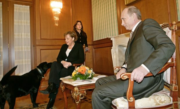 Putin, după ce și-a adus câinele la o întâlnire cu Merkel: „Angela, scuză-mă, nu știam că îți este frică, voiam sa fac o atmosferă plăcută”| VIDEO
