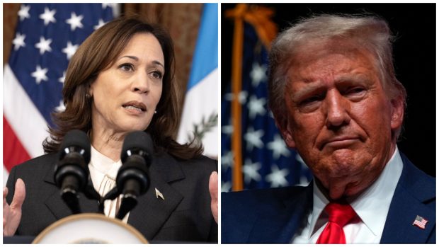 Vedetele care îi susțin pe Donald Trump și pe Kamala Harris la alegerile prezidențiale din SUA