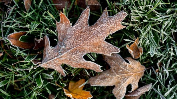 Prognoza meteo pentru următoarele patru săptămâni. Vremea va fi mai rece decât normalul perioadei în toată România