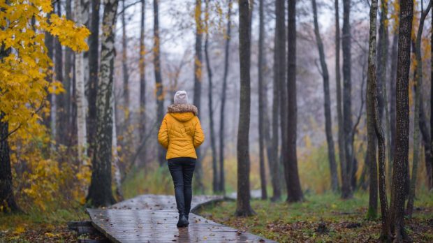 Cum va fi vremea mâine. Prognoza meteo pentru miercuri, 20 noiembrie 2024