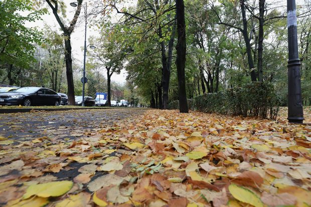 Cum va fi vremea mâine. Prognoza meteo pentru duminică, 17 noiembrie