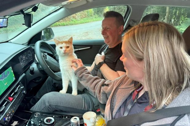 Beans, un motan din Scoția, a dispărut de acasă și a fost găsit la 500 km distanță: „L-am căutat peste tot”
