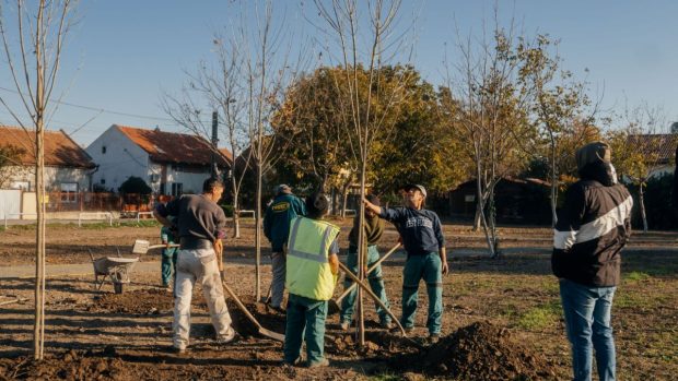 Primăria Timișoara amenajează un nou parc în municipiu. „Spațiu pentru plimbare, relaxare și picnicuri”