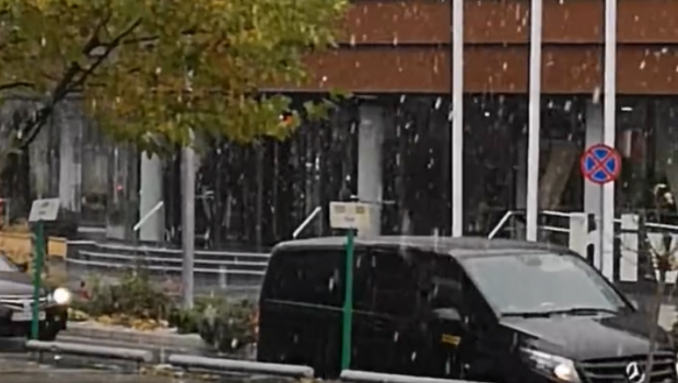 Prima ninsoare în București. Imagini cu primii fulgi de zăpadă din acest sezon