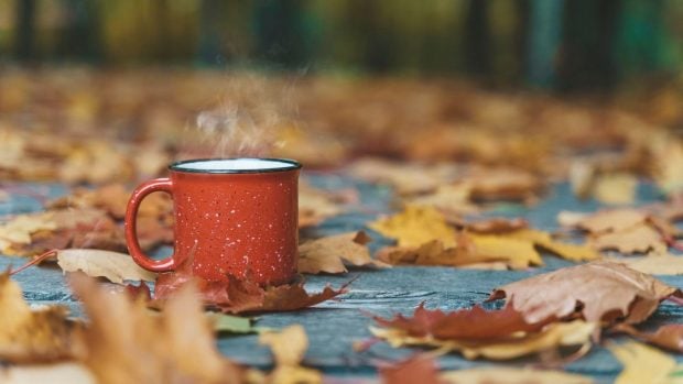 Prognoza meteo pentru următoarele patru săptămâni. Temperaturi apropiate de normal până la începutul lunii decembrie