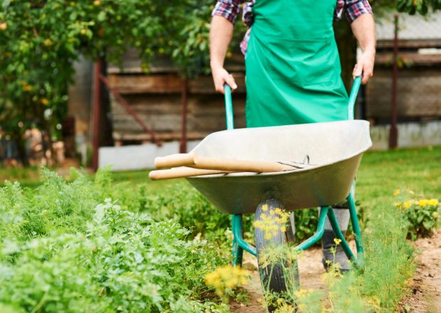 Roți de calitate pentru roaba ta: cum să alegi varianta ideală pentru o utilizare îndelungată?