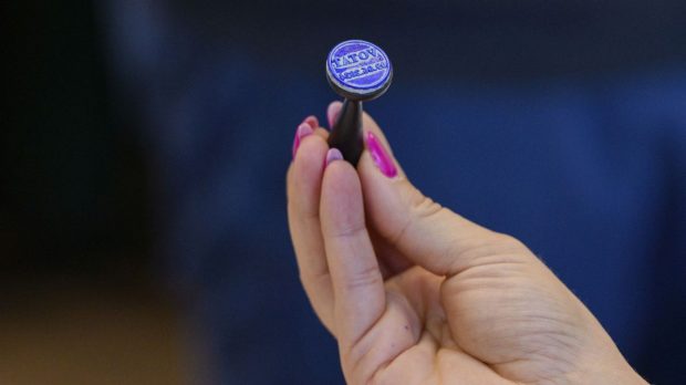 Cum votezi corect la alegerile prezidenţiale 2024