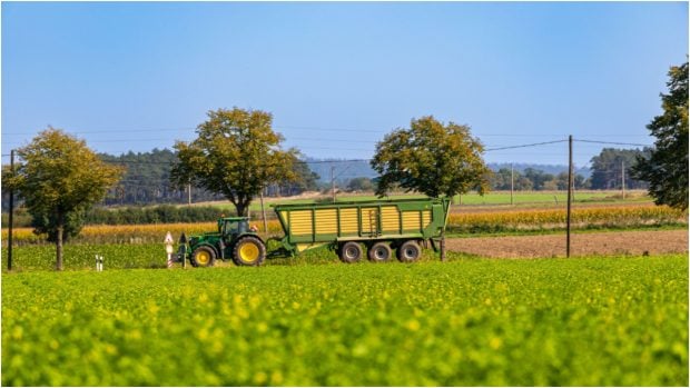 Prețurile terenurilor agricole au crescut cu 25-40% în ultimul deceniu. 12.000 de euro pe hectar în jurul Bucureștiului