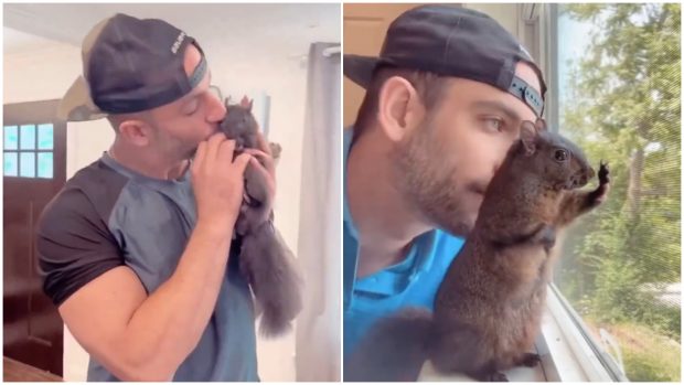 Veverița „Peanut”, celebră pe rețelele de socializare, a fost confiscată de autorități de la stăpânul său | VIDEO
