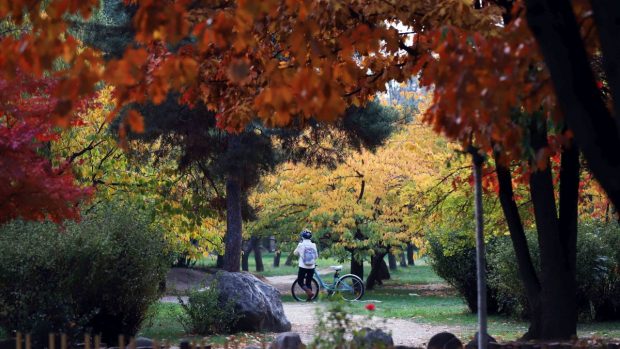 Prognoza meteo pentru următoarele două săptămâni. Vremea se schimbă radical de joi