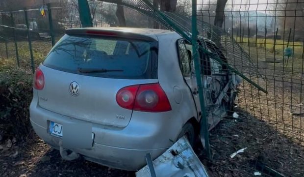 Un șofer a intrat în gardul unui țarc pentru câini, la Cluj-Napoca: „Ăsta e Golf Terrier”