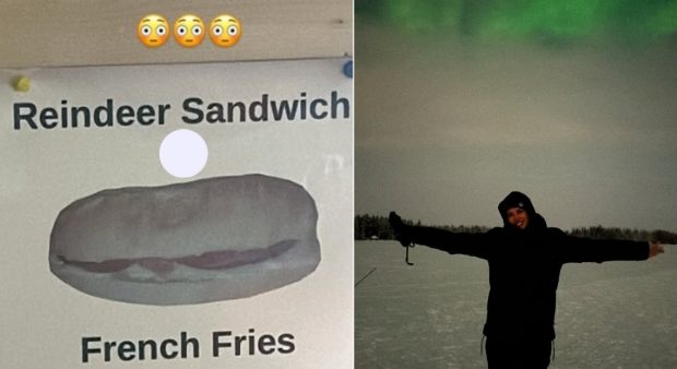 Cât costă un sandwich cu carne de ren în Laponia. Antonia a dezvăluit prețul pe Instagram