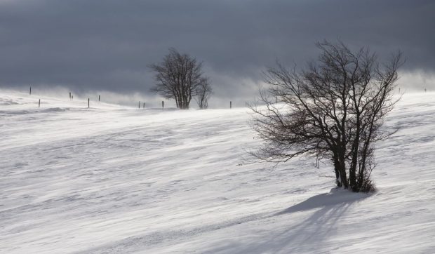 Avertizare meteo ANM. Cod galben de zăpadă viscolită și vânt puternic