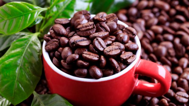 Cafeaua s-a scumpit ca niciodată în ultimii 47 de ani: „Vremuri grele”