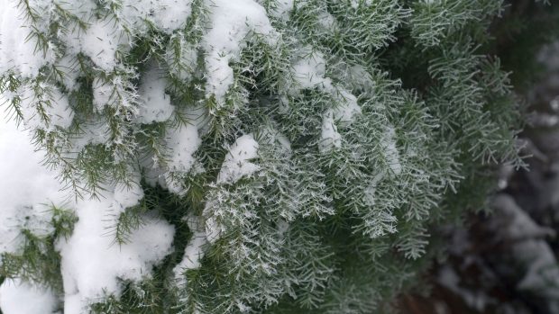 Cum va fi vremea mâine. Prognoza meteo pentru duminică, 15 decembrie