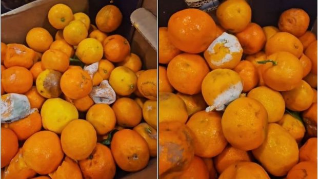 Kaufland vinde clementine cu 50 de bani kilogramul, 89% reducere: „Nu cred că poate alege cineva ceva”